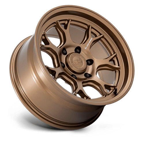 ETOSHA 17X8.5 6X4.5 66 -10 M-BRNZ
